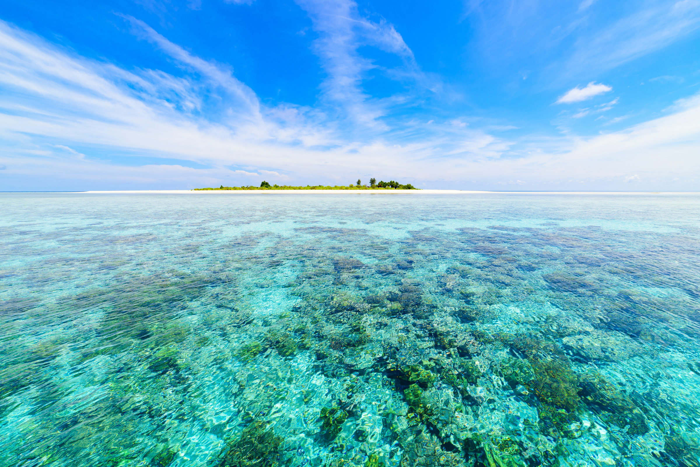 wakatobi national park (3).webp